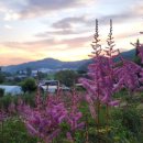 목인동 | 세종펜션 세종 목인동펜션, 자연 속 힐링의 완성