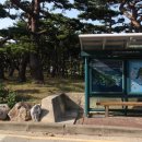 서포리관광지 이미지