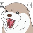 하이블리 이미지