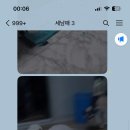현란제리