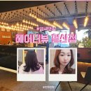 철산역미용실 힙한 MZ 분위기의 헤어더뷰 철산점 루아 디자이너님의 뷰티풀한 애쉬컬러 염색 솔직후기