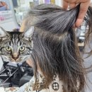 정든로 공영주차장 이미지