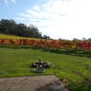 제경농장 이미지