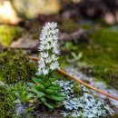 풍경스케치(주간) 이미지