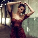 셀린