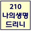 210. 나의생명드리니 파트별 연습 동영상 이미지