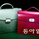 엘리제가방