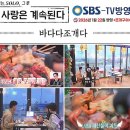 회산오징어 세상 | [속초 맛집] 속초조개구이 바다다조개다_오징어통찜,산오징어 회 먹은 솔직후기