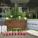 나산조경 이미지