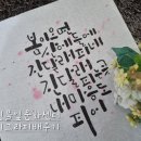 풀잎문화센터 춘천지부 네이버블로그