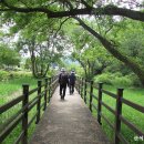 쑥부쟁이(용산저수지)둘레길 이미지