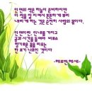 (주)코러싱 네이버블로그