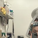 히개하우스 이미지