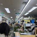 꼬까나무화훼직매장 | [2025년 화훼장식기능사 실기 준비물] 양재꽃시장 직접 사입 구매 꿀팁 & 과제별 소재총정리