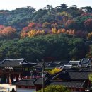 수원-1793 한국일보