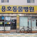 용호동물병원 이미지