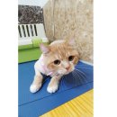 38점5도씨 이미지