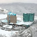 강원랜드 이미지