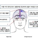 하늘의기세상