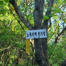 금대양 이미지