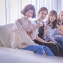 청춘브라더스 이미지