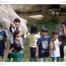 쌍계초등학교 이미지