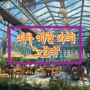코스앨리 이미지