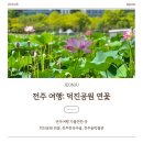 전주여행 덕진공원 연꽃, 전통술박물관, 한옥마을
