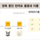 모모헤어연구소