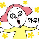 엘엠디 이미지