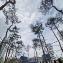 용산-현장-744 이미지