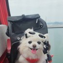 북항슈퍼