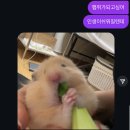 갓생과 혐생은 한끗차이