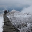 부산혜성학교 이미지