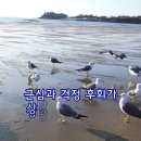 한번 왔다 가는인생 즐거운 인생이어야 합니다 이미지