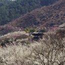 봄나드리투어 이미지