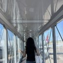 수박비누에 풍덩 | [카오락🇹🇭] 가족 타임라인 업데이트 (JW 메리어트 카오락, 카오락 마사지샵 Casi 후기)