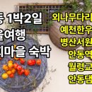 안동1박2일 가을여행 하회마을 숙박부터 병산서원.월령교.안동댐 외나무다리 감성코스 이미지