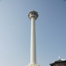 지혜선 이미지