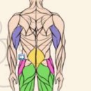 운동케어짐 | 광나루역 pt 바디케어짐 안세민 트레이너 2주차 운동 후기