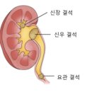 섹칼슘 이미지