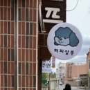 퍼피살롱 이미지