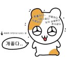 꽃놀이패 | 2025년 2분기 기록