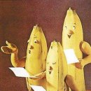 바나나PC 이미지