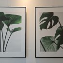 안산 마음의 정원 심리상담센터
