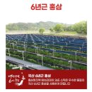 초월홍삼 | 홍삼은 비싼 게 최고인 줄 알았는데, '200포'의 넉넉함이 주는 평온함이 있네요