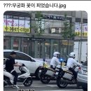 무궁화꽃이피었습니다 Daum카페