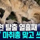 오월드 이미지