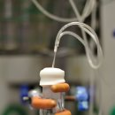 봉생병원 앞 이미지