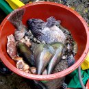 서해펜션 이미지